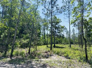 147 E Alachua St, Palatka, FL 32177