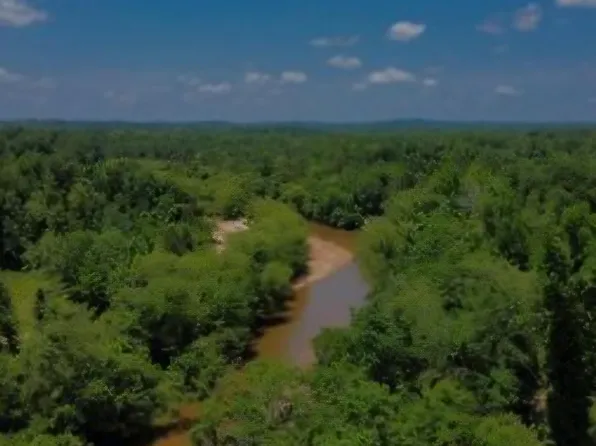 0 County Road 103 #1, Plantersville, AL 36758