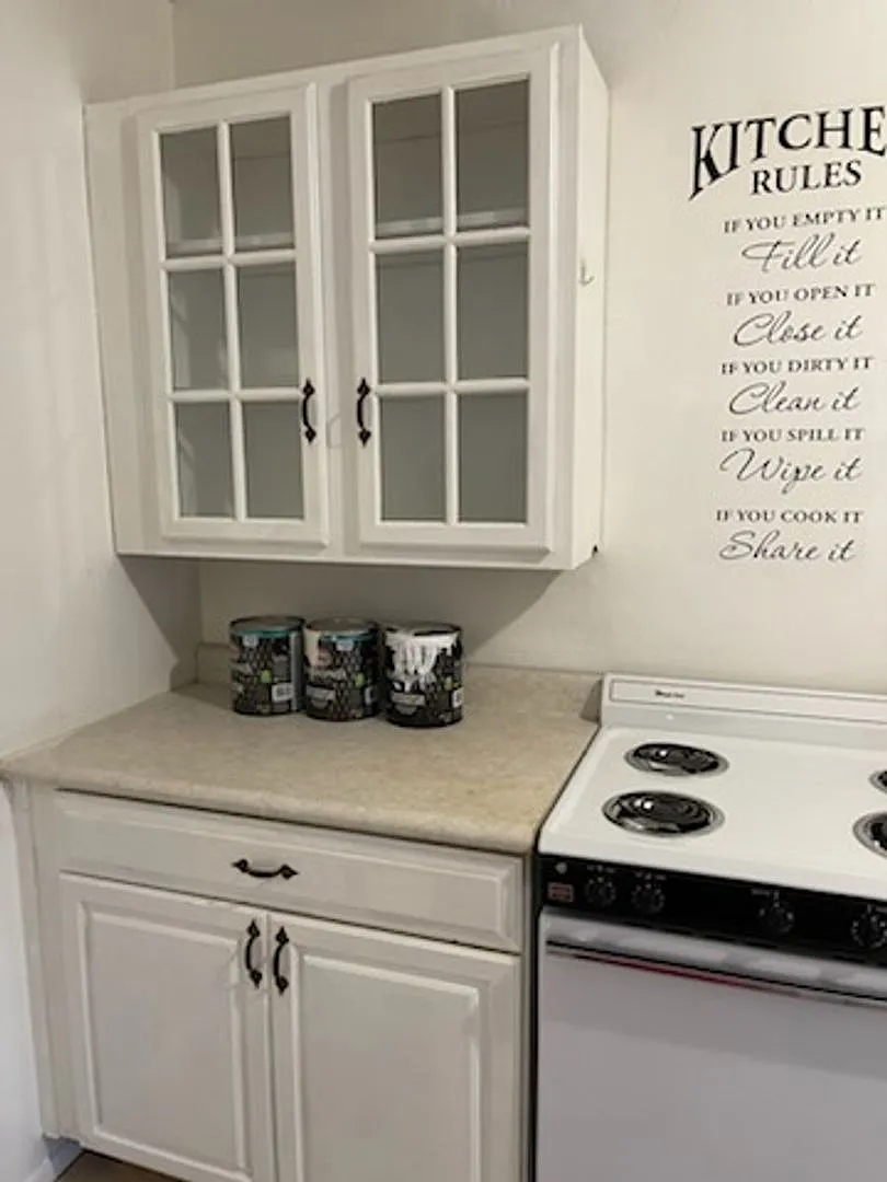 Mesa 3 bed 2 bath Dobson & Main — Photo 4