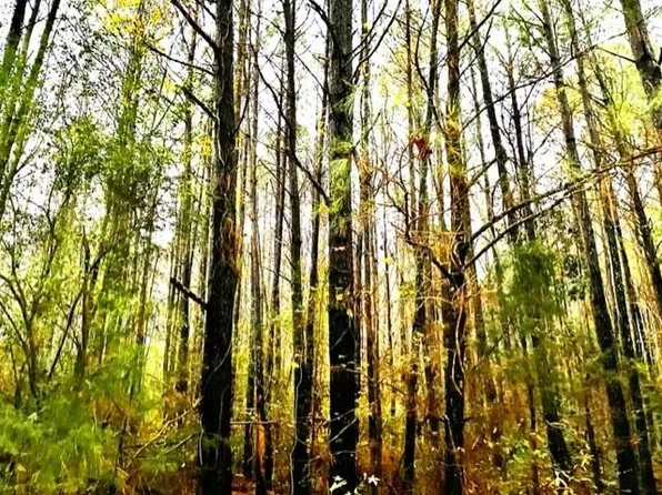 LOT 2 Valley Rd #D6a-2, Warrenton, NC 27589