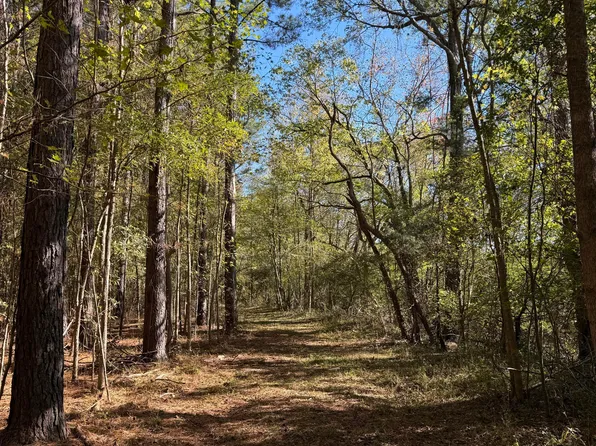 2770 Boyd Rd, Utica, MS 39175