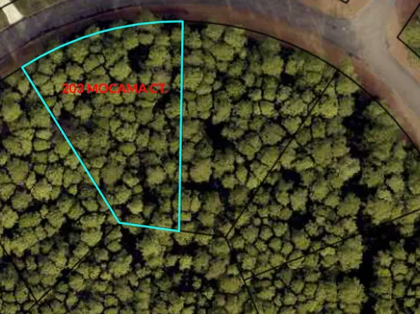 203 Mocama Ct, Saint Marys, GA 31558