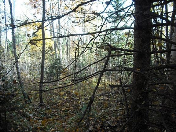 4th image of 1056 W Harris Lake Rd #W