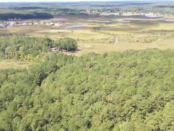 2nd image of 319 Indian Pipes Ln Lot 322