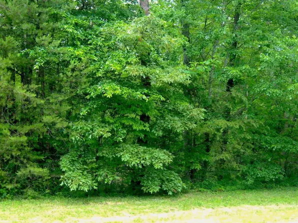 1503 E Overlook Rd, Monterey, TN 38574