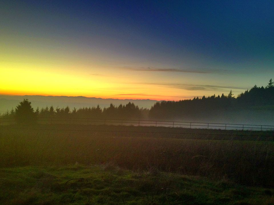 coastal sunsets