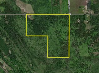 0 Wilds Rd, Ossineke, MI 49766