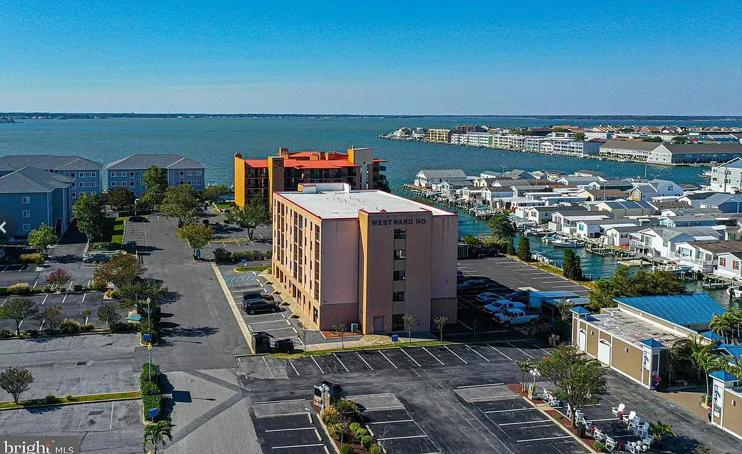 2 bed, 558 sqft, $1,350 — Photo 1