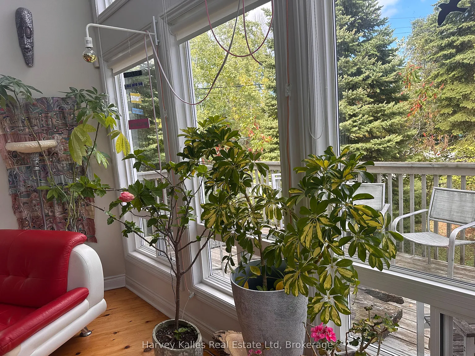 3 bed, $13,500 — Photo 2