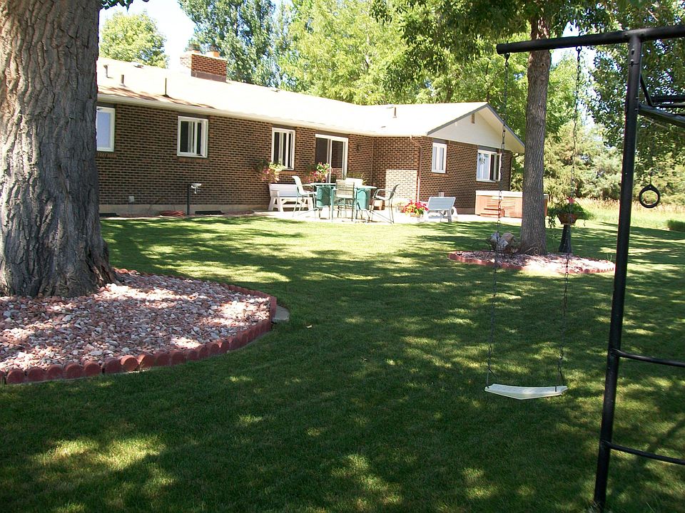 Mature shade trees