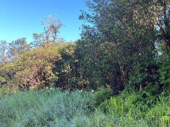 Road 3 Hopue Lot 3225, Mountain View, HI 96771