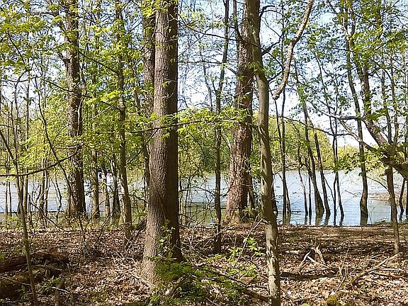 3rd image of 291 Forest Cir