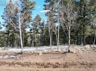 278 Cherry Lake Dr, Divide, CO 80814