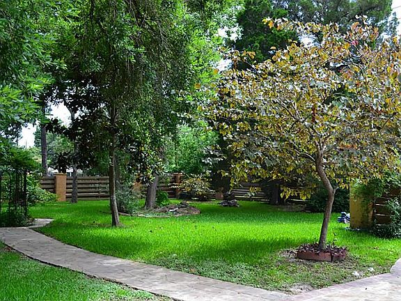 Wonderful Park Like Setting in the Back Yard