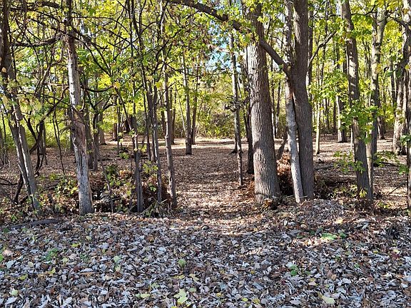 5th image of 0 N Cotton Rd