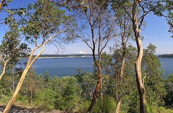 View from great room & deck