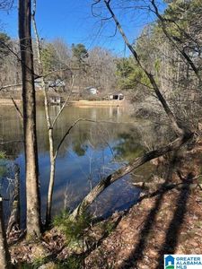 1 Mountain Top Rd #1, Birmingham, AL, 35242