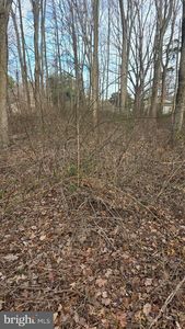LOT 15 La Gorce Dr, Stevensville, MD, 21666