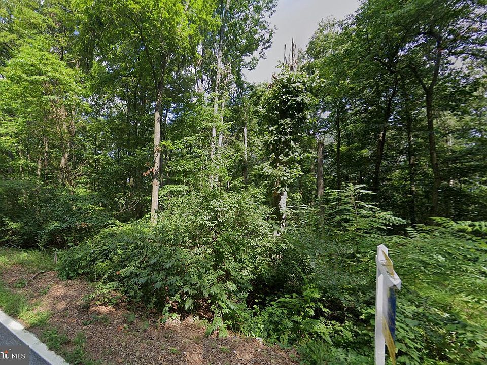 2nd image of Back Woods Rd
