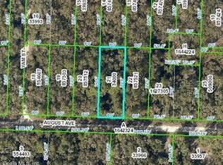 33489 August Ave, Webster, FL 33597