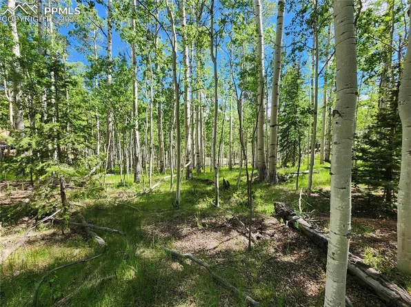 2922 N Mountain Estates Rd, Florissant, CO 80816