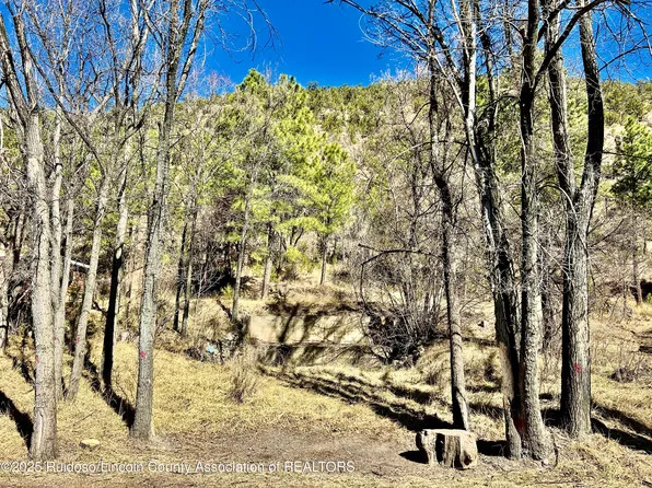 135 Meander Dr, Ruidoso, NM 88345