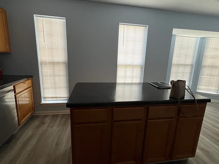 1399 Vintage Pointe Dr — Photo 20