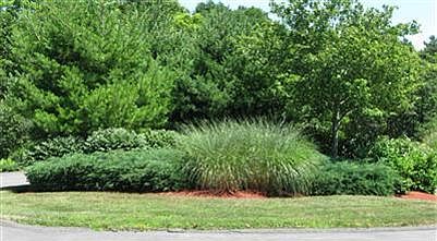 3rd image of 107 Sorrel Circle