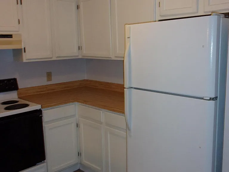 100 Chesterfield Ln — Photo 4