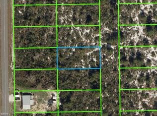 408 Flamingo St, Lake Placid, FL 33852