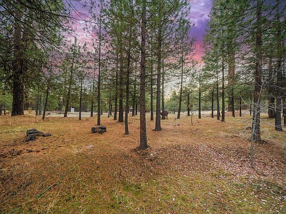 4th image of 2627 Ponderosa Ln