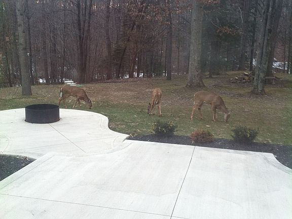 3rd image of 13132 W Geauga Trl