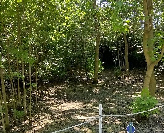 4th image of 3050 Philadelphia Dr