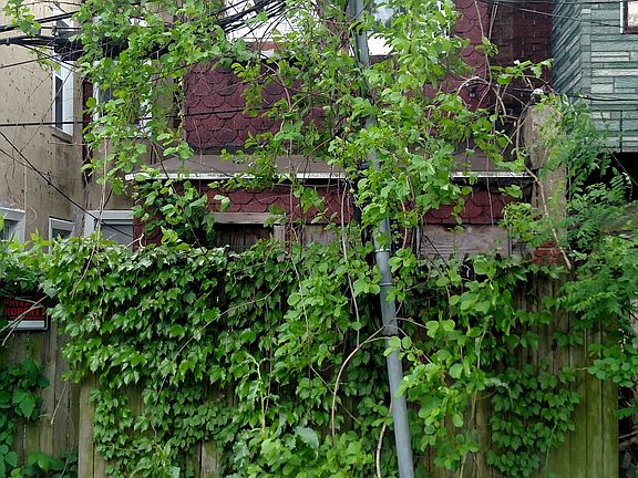 2nd image of 2433 Sharswood St