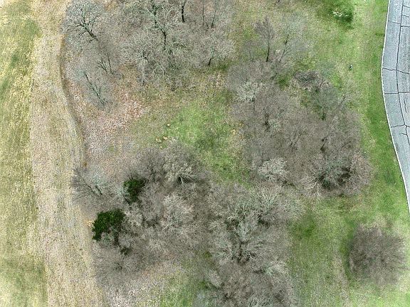 5th image of 126 Roaring Fork Cir