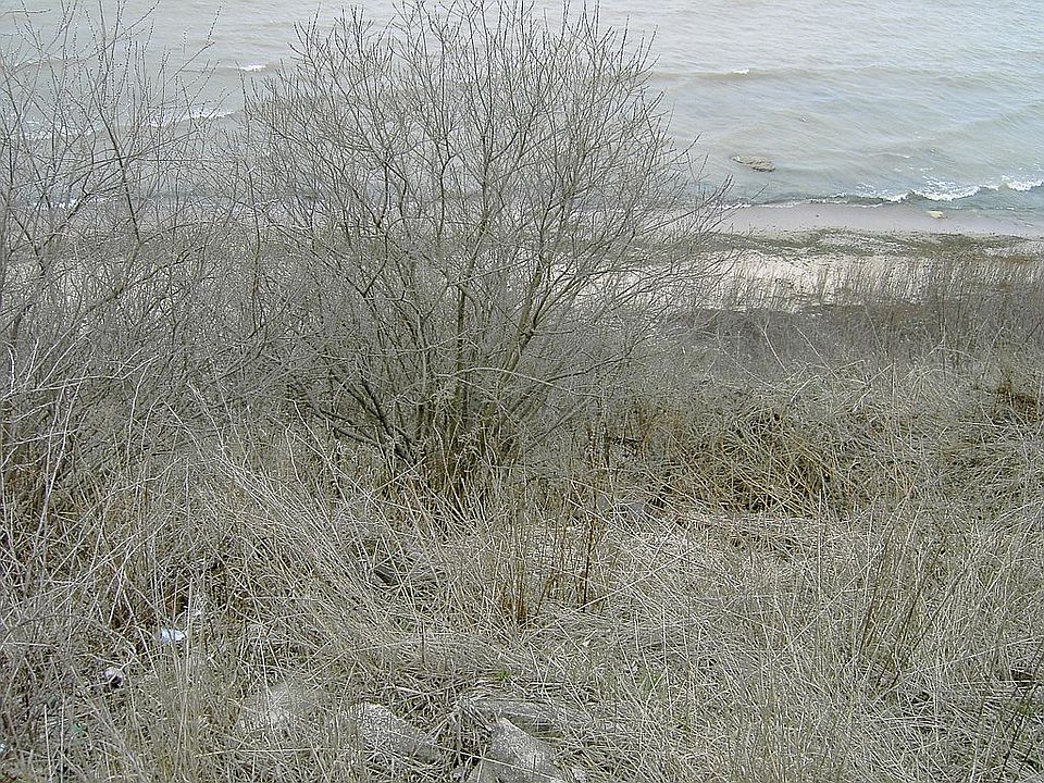2nd image of County Hwy Ls