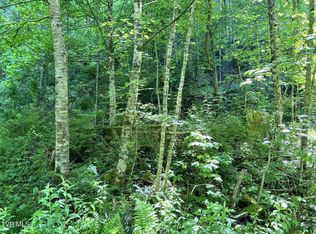 7576 Wells Adams Rd, Norton, VA 24273