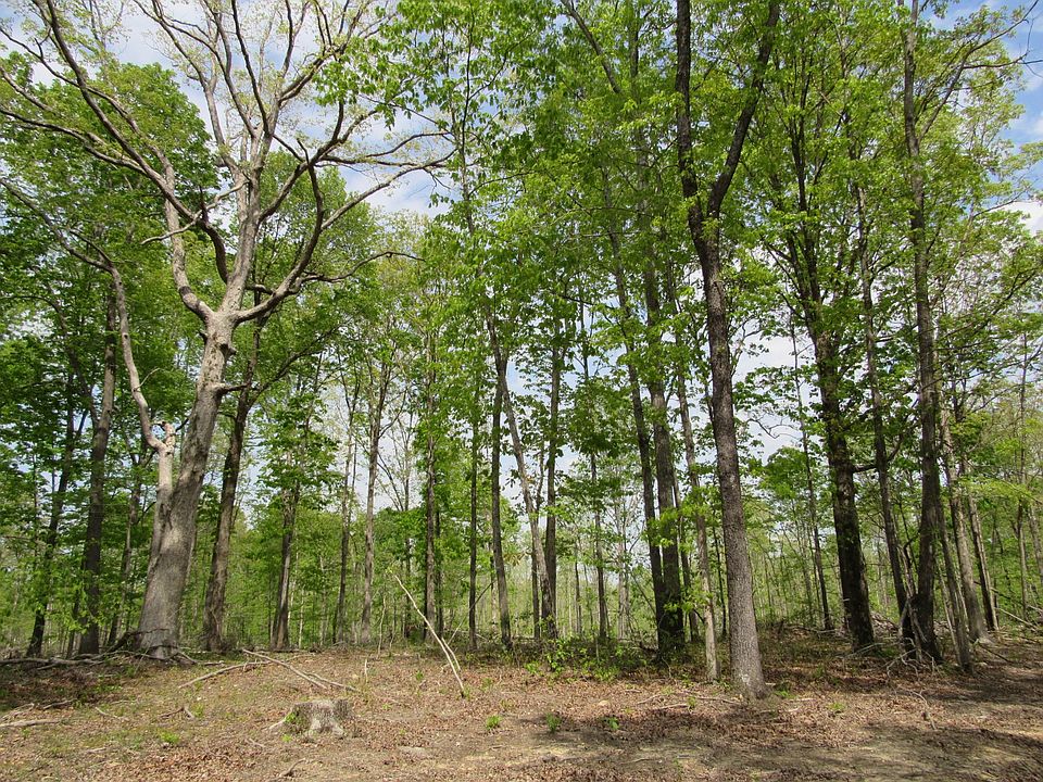 1st image of 0 Old Nashville Hwy