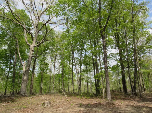 0 Old Nashville Hwy, Mc Ewen, TN 37101