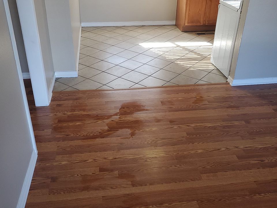 View from entry into house.