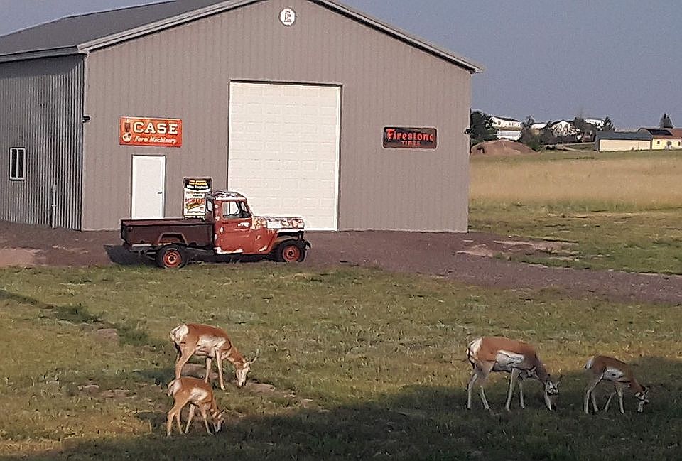 6005 Enfield Dr, Cheyenne, WY 82007 Zillow