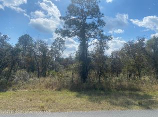 13134 Convent Garden Rd, Brooksville, FL 34613