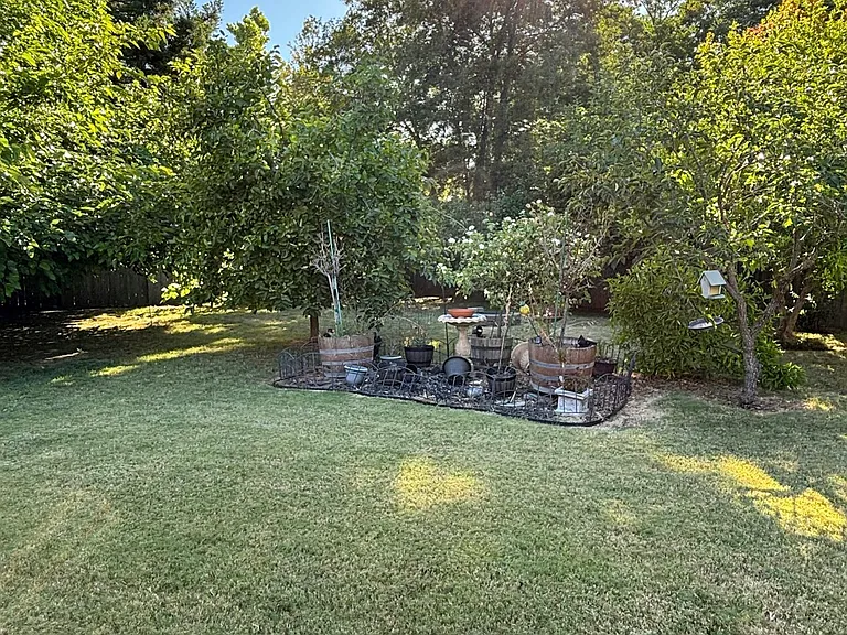 3616 Wood Duck Cir — Photo 98