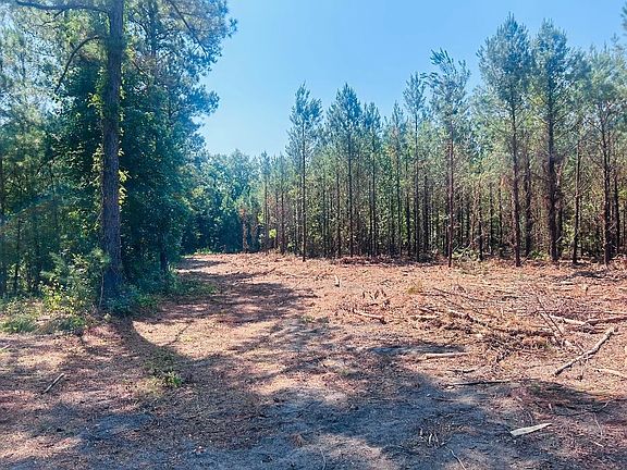 4th image of 18.58 Acres - Turkey Ln