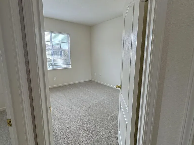 31 Cymbidium Cir — Photo 21