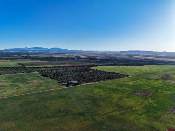 TBDWP1 County Road 106, Hesperus, CO 81326