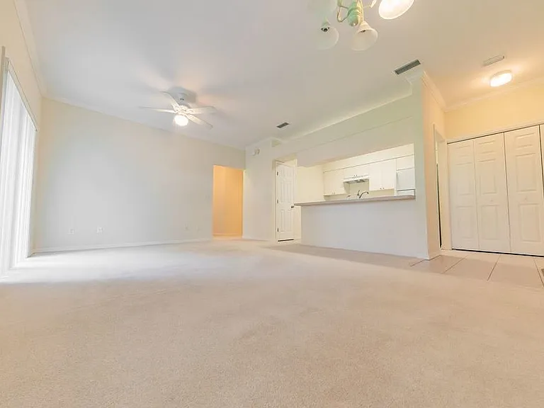 1203 Eagle Pond Dr — Photo 4