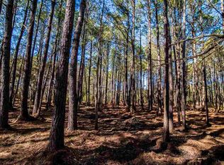 771 Collins Meadow Dr, Georgetown, SC 29440