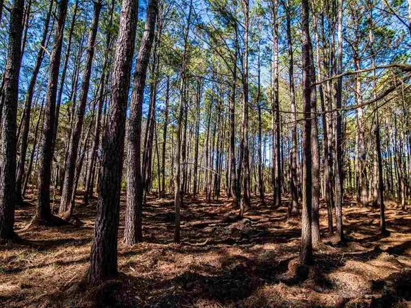 771 Collins Meadow Dr, Georgetown, SC 29440