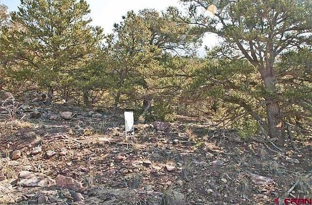 2nd image of 892 Pine Cone Way